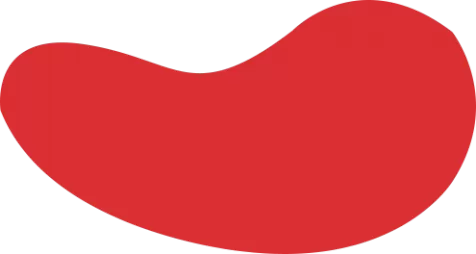 FB体育(FBSports)官方网站-FBSPORTS