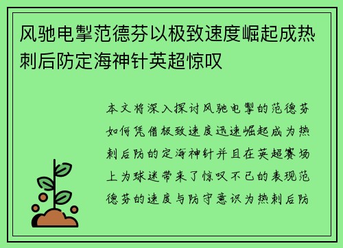 风驰电掣范德芬以极致速度崛起成热刺后防定海神针英超惊叹